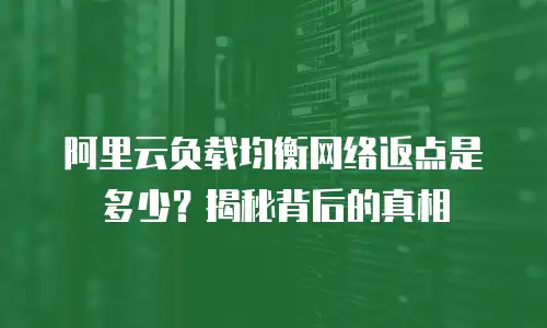 阿里云负载均衡网络返点是多少？揭秘背后的真相