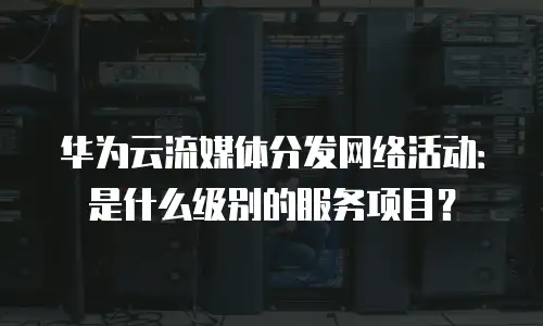 华为云流媒体分发网络活动：是什么级别的服务项目？