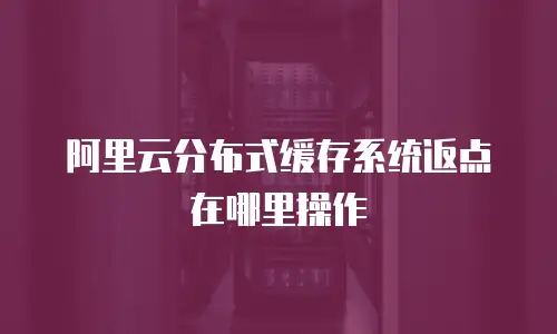 阿里云分布式缓存系统返点在哪里操作