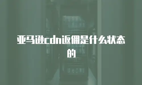 亚马逊cdn返佣是什么状态的