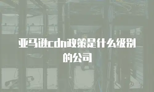 亚马逊cdn政策是什么级别的公司