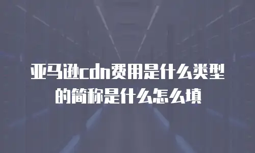 亚马逊cdn费用是什么类型的简称是什么怎么填