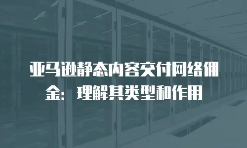 亚马逊静态内容交付网络佣金：理解其类型和作用