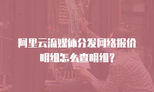 阿里云流媒体分发网络报价明细怎么查明细？