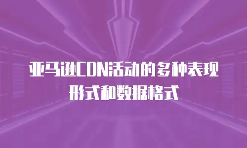 亚马逊CDN活动的多种表现形式和数据格式