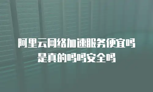 阿里云网络加速服务便宜吗是真的吗吗安全吗
