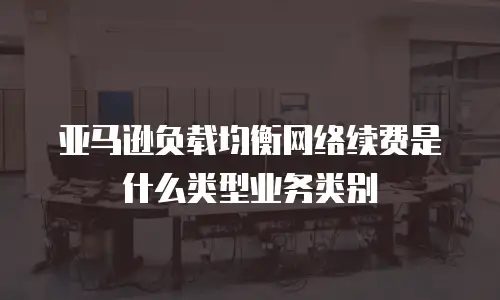 亚马逊负载均衡网络续费是什么类型业务类别
