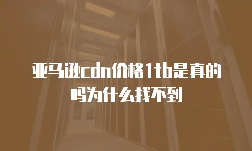 亚马逊cdn价格1tb是真的吗为什么找不到