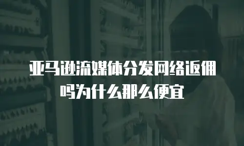 亚马逊流媒体分发网络返佣吗为什么那么便宜
