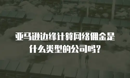 亚马逊边缘计算网络佣金是什么类型的公司吗？