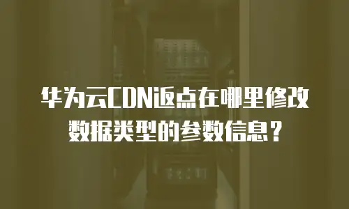 华为云CDN返点在哪里修改数据类型的参数信息？