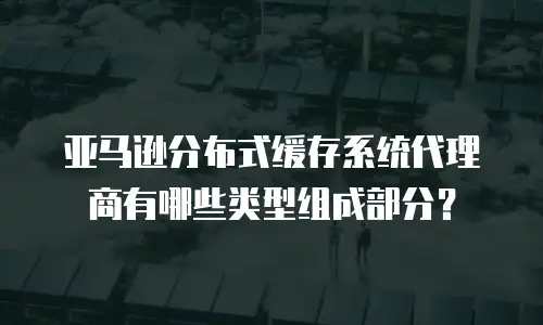 亚马逊分布式缓存系统代理商有哪些类型组成部分？