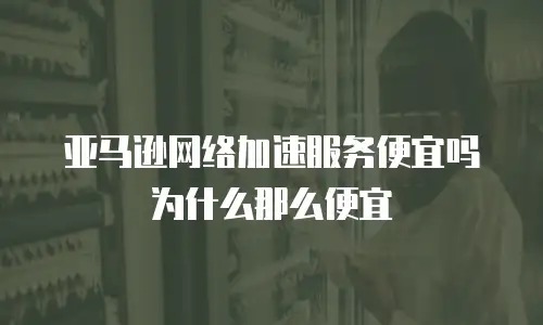 亚马逊网络加速服务便宜吗为什么那么便宜