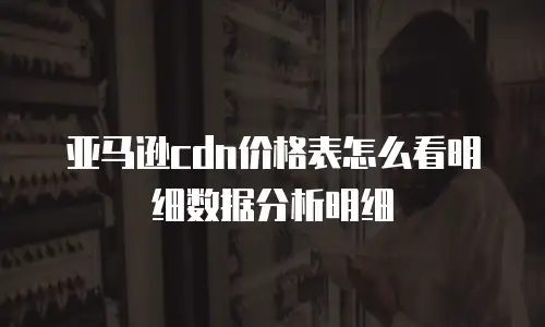 亚马逊cdn价格表怎么看明细数据分析明细