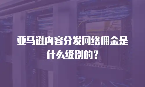 亚马逊内容分发网络佣金是什么级别的？