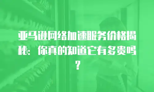 亚马逊网络加速服务价格揭秘：你真的知道它有多贵吗？