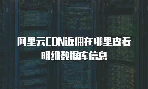 阿里云CDN返佣在哪里查看明细数据库信息