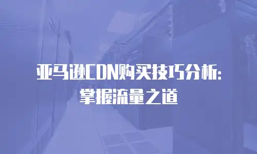亚马逊CDN购买技巧分析：掌握流量之道