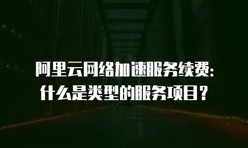 阿里云网络加速服务续费：什么是类型的服务项目？