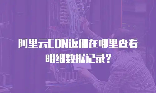 阿里云CDN返佣在哪里查看明细数据记录？