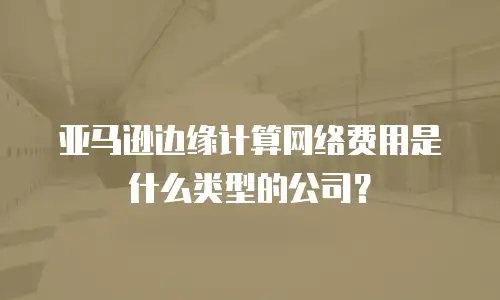 亚马逊边缘计算网络费用是什么类型的公司？