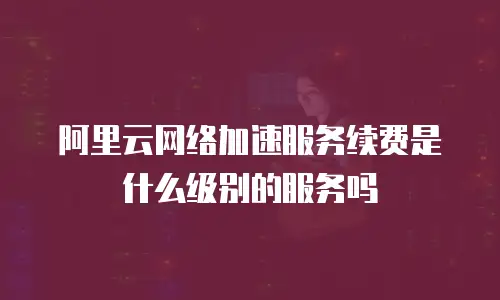 阿里云网络加速服务续费是什么级别的服务吗