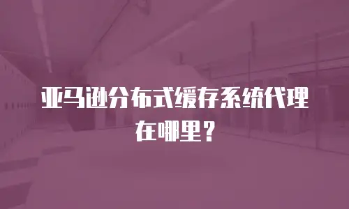 亚马逊分布式缓存系统代理在哪里？