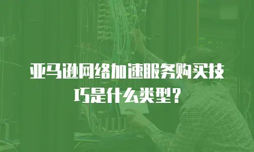 亚马逊网络加速服务购买技巧是什么类型？