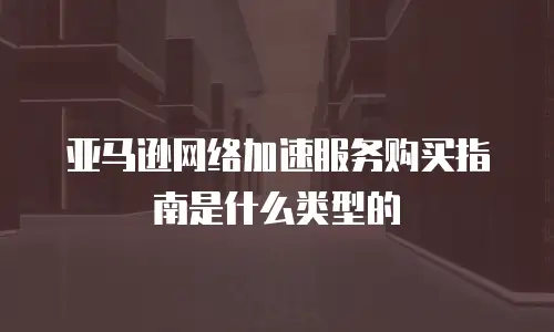 亚马逊网络加速服务购买指南是什么类型的