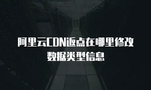 阿里云CDN返点在哪里修改数据类型信息