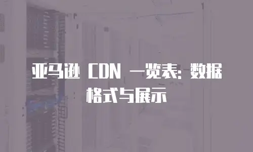 亚马逊 CDN 一览表: 数据格式与展示