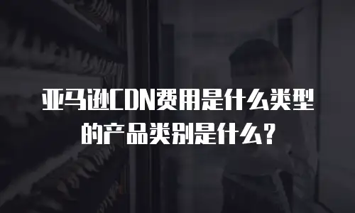 亚马逊CDN费用是什么类型的产品类别是什么？
