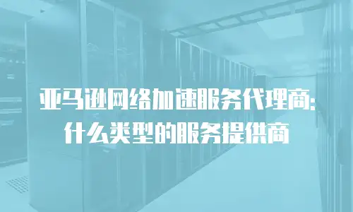 亚马逊网络加速服务代理商: 什么类型的服务提供商