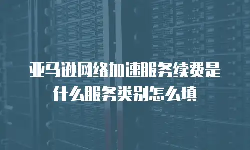 亚马逊网络加速服务续费是什么服务类别怎么填