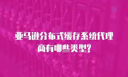 亚马逊分布式缓存系统代理商有哪些类型?