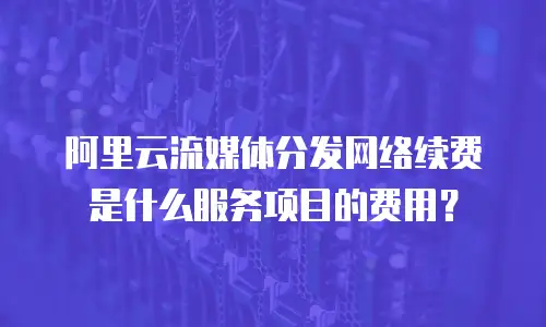 阿里云流媒体分发网络续费是什么服务项目的费用？