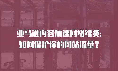 亚马逊内容加速网络续费：如何保护你的网站流量？