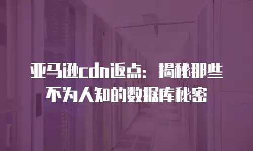 亚马逊cdn返点：揭秘那些不为人知的数据库秘密