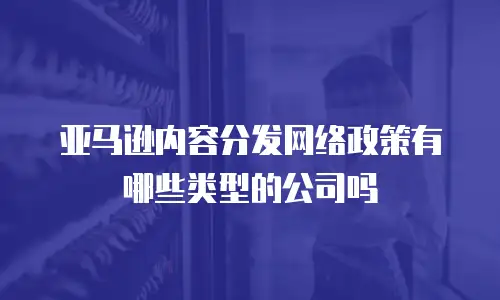 亚马逊内容分发网络政策有哪些类型的公司吗