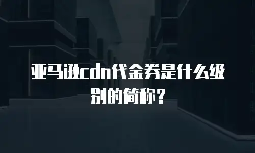 亚马逊cdn代金券是什么级别的简称？