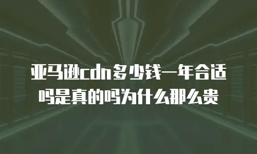 亚马逊cdn多少钱一年合适吗是真的吗为什么那么贵