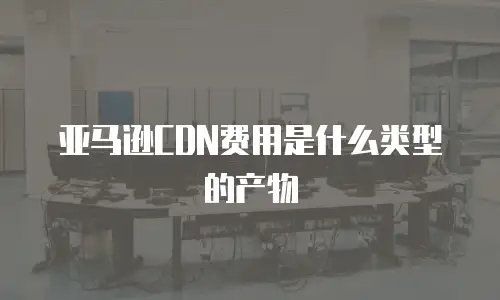 亚马逊CDN费用是什么类型的产物