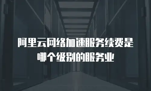 阿里云网络加速服务续费是哪个级别的服务业