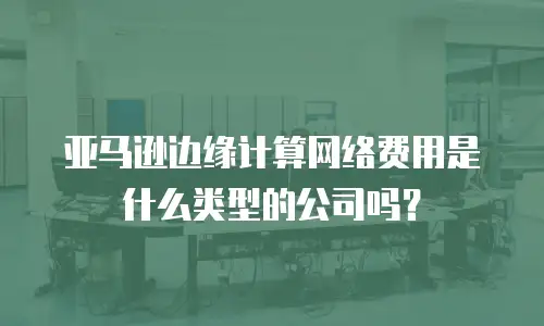 亚马逊边缘计算网络费用是什么类型的公司吗？