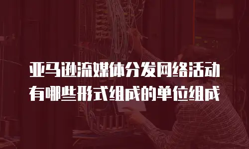 亚马逊流媒体分发网络活动有哪些形式组成的单位组成