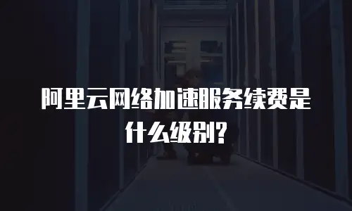 阿里云网络加速服务续费是什么级别?