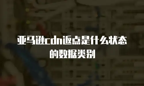 亚马逊cdn返点是什么状态的数据类别
