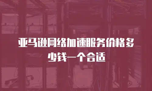 亚马逊网络加速服务价格多少钱一个合适