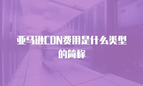 亚马逊CDN费用是什么类型的简称