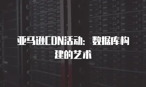 亚马逊CDN活动：数据库构建的艺术